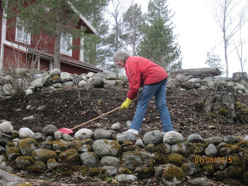 Ideellt arbete bland trädgårdens stenmurar
